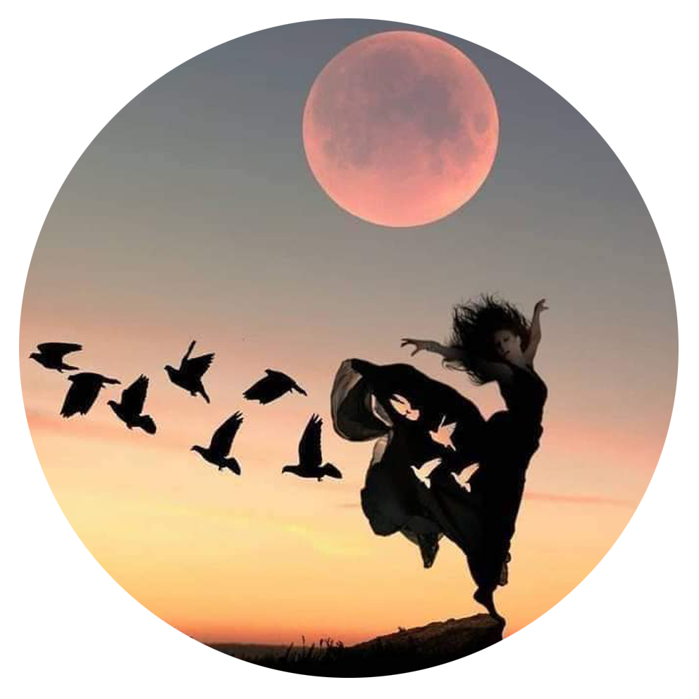 BP danza Barbara https://www.barbarapincelli.it/wp-content/uploads/2022/04/BP-danza-Barbara.png